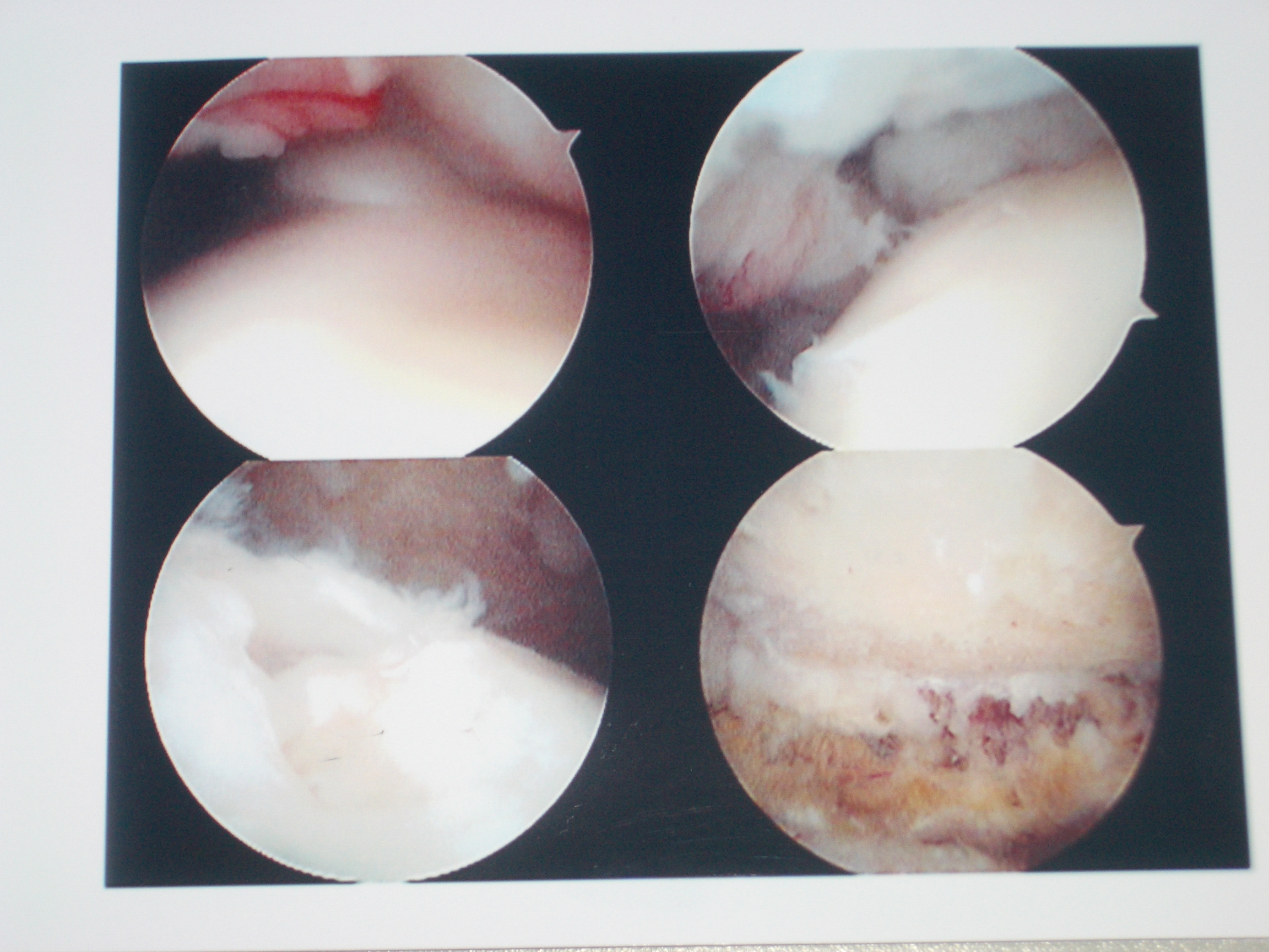 mariëtte nico piratenfrass 240.jpg